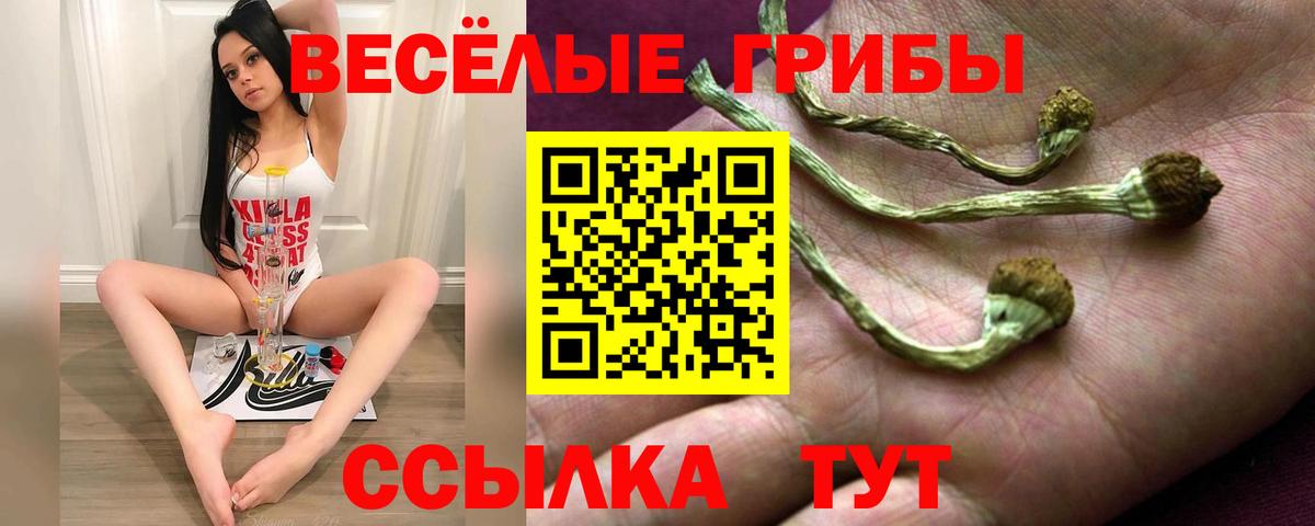 Псилоцибиновые грибы Psilocybine cubensis Ликино-Дулёво